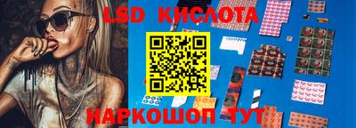 a pvp Новозыбков